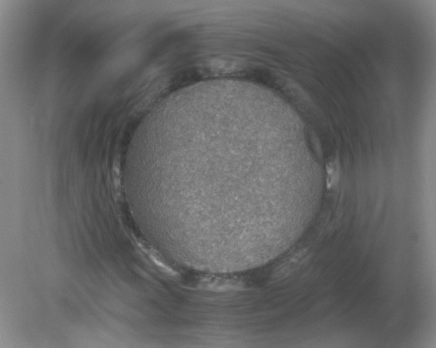 X0000081631011200702051253