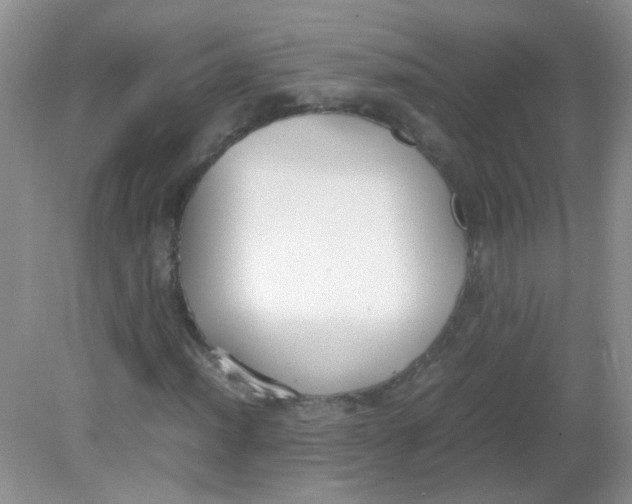 X0000081631012200702051253