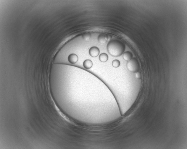 X0000081631041200702051253