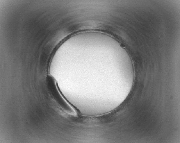X0000081631073200702051252