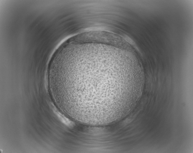 X0000081631076200702051252