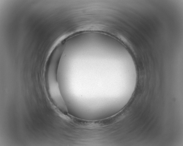 X0000081631085200702051252