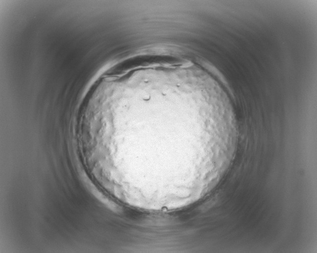 X0000081631091200702051252