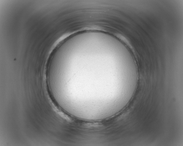 X0000081631133200702051252