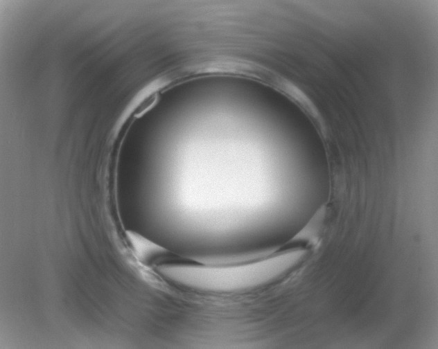 X0000081631138200702051252