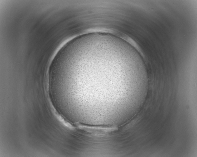 X0000081631140200702051252