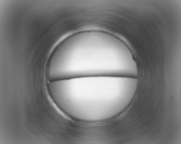 X0000081631142200702051252