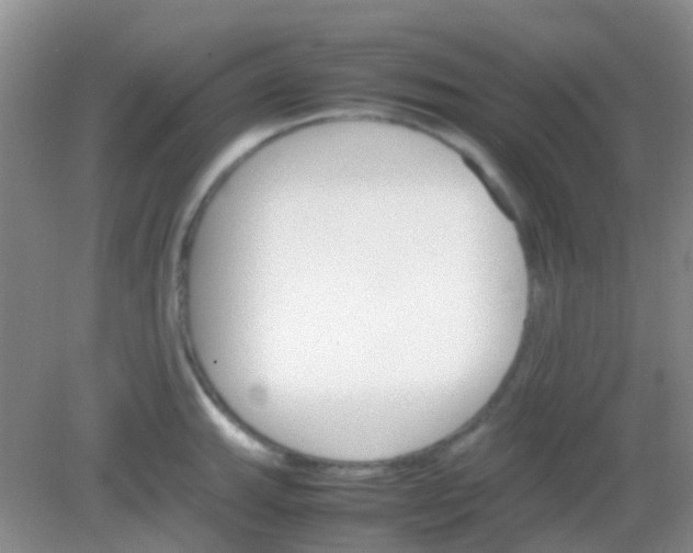 X0000081631143200702051252