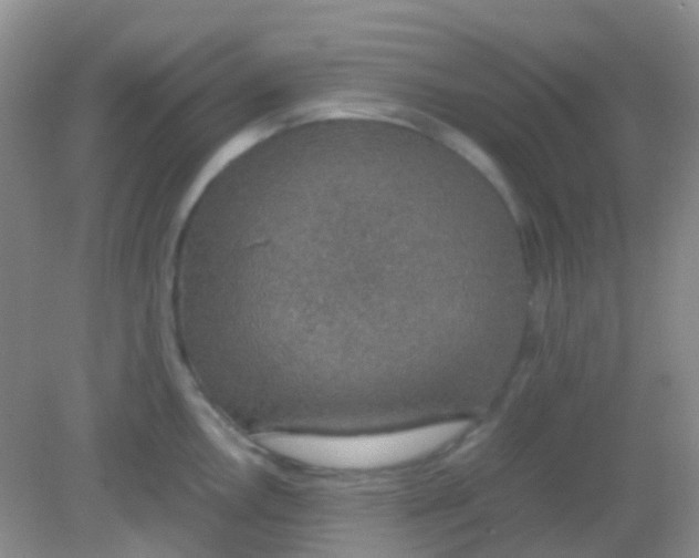 X0000081631146200702051252