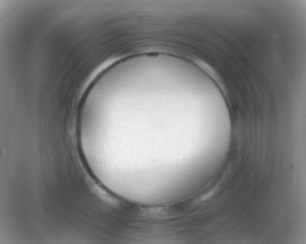 X0000081631149200702051252
