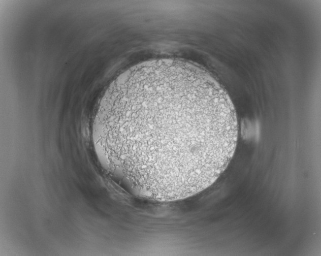 X0000081631155200702051251