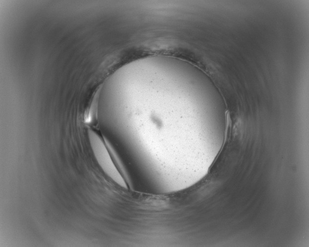 X0000081631156200702051251