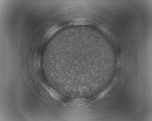 X0000081631161200702051251