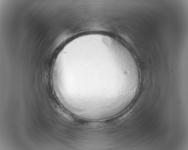 X0000081631163200702051251