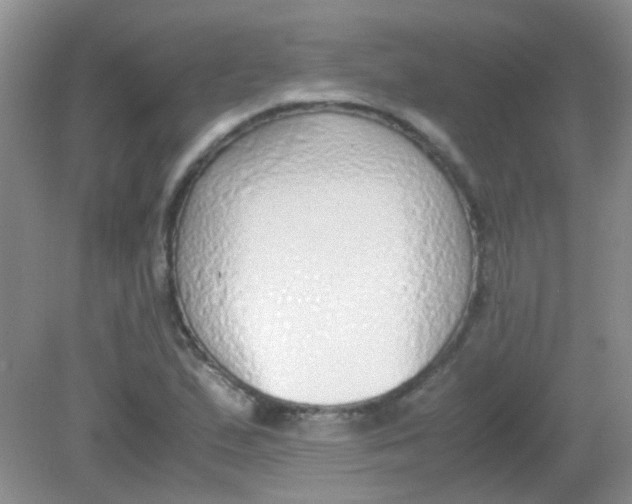X0000081631167200702051251