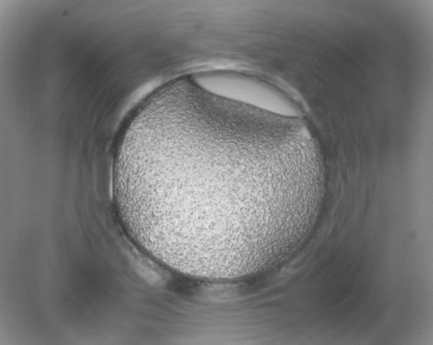 X0000081631171200702051251