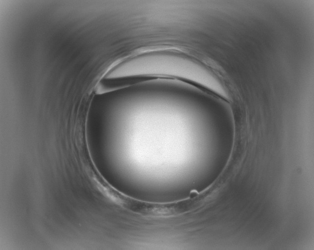 X0000081631177200702051251