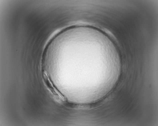 X0000081631183200702051251