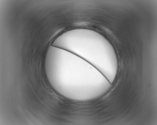 X0000081631209200702051250