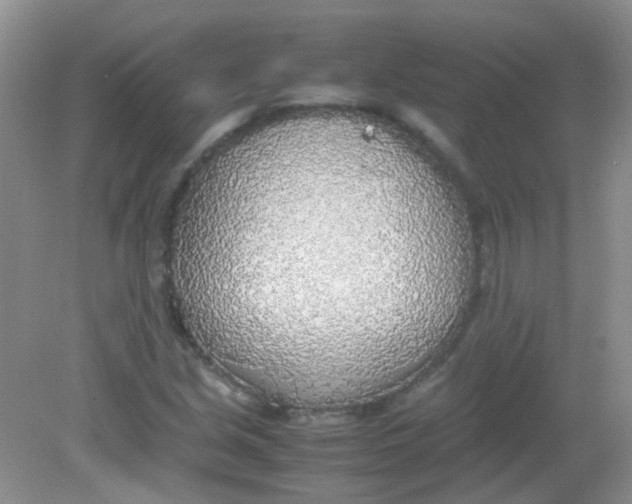 X0000081631213200702051250