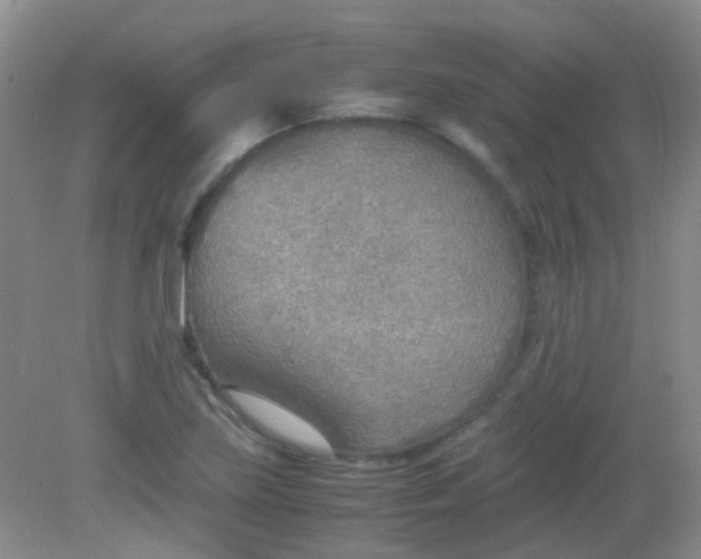 X0000081631219200702051250