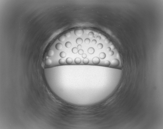 X0000081631221200702051250