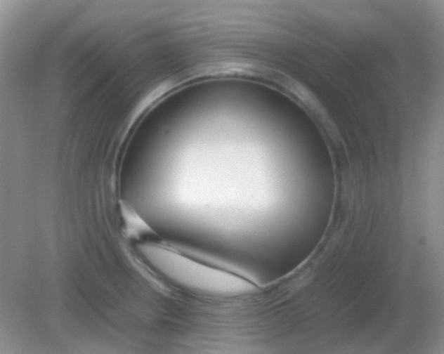 X0000081631234200702051250