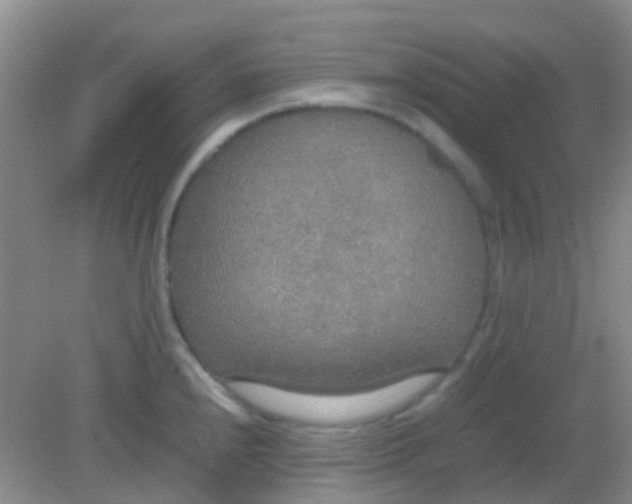 X0000081631240200702051250