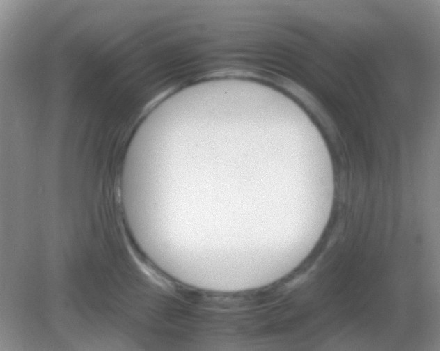 X0000081631241200702051250
