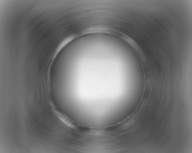 X0000081631242200702051250
