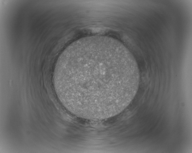X0000081631249200702051249
