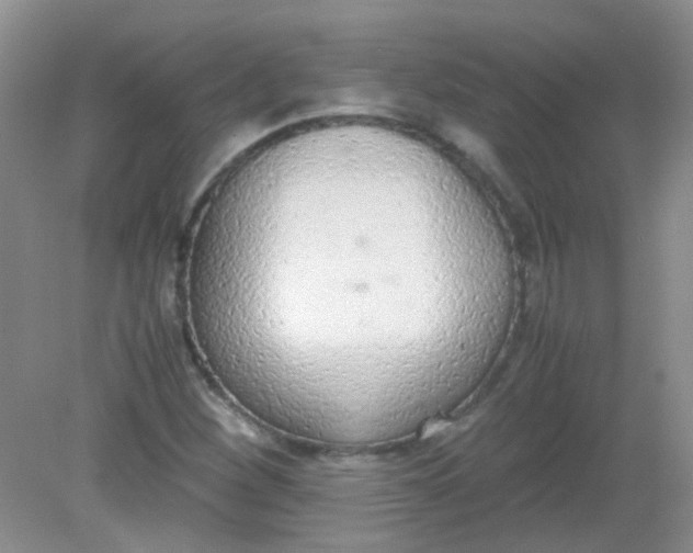 X0000081631260200702051249