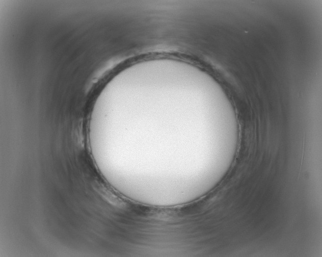 X0000081631262200702051249