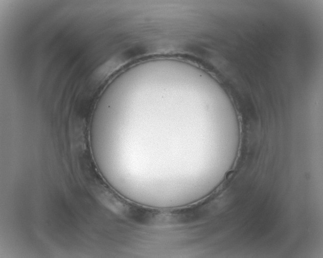 X0000081631265200702051249