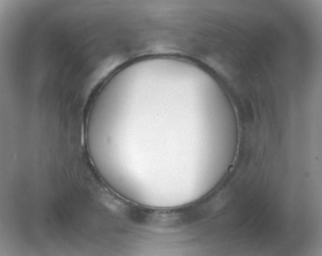 X0000081631269200702051249