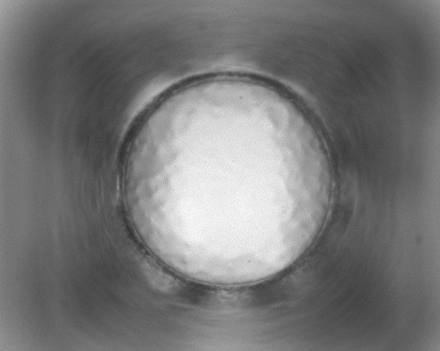 X0000081631271200702051249