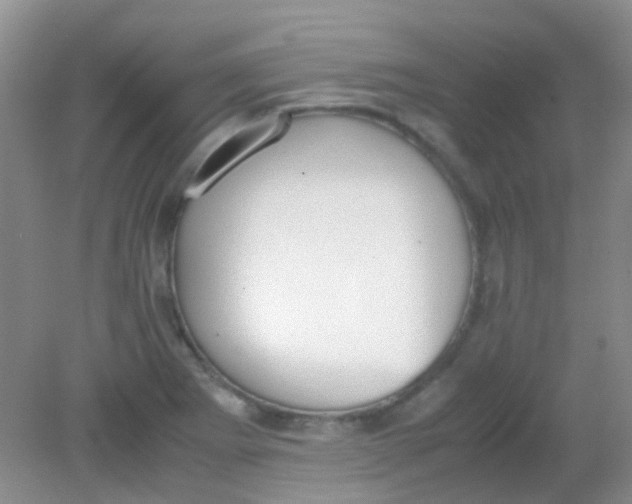 X0000081631273200702051249