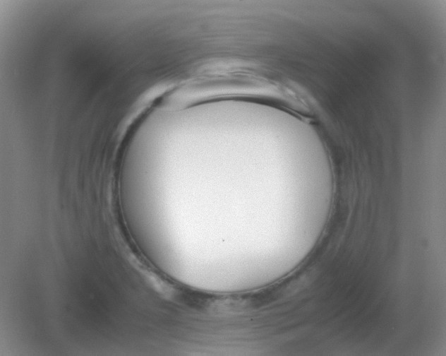 X0000081631277200702051249