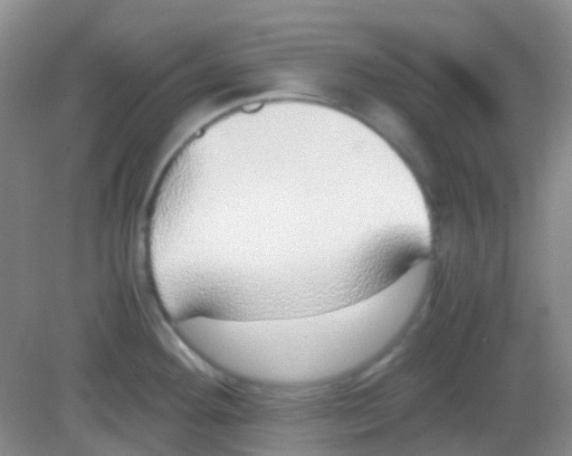 X0000081631292200702051249