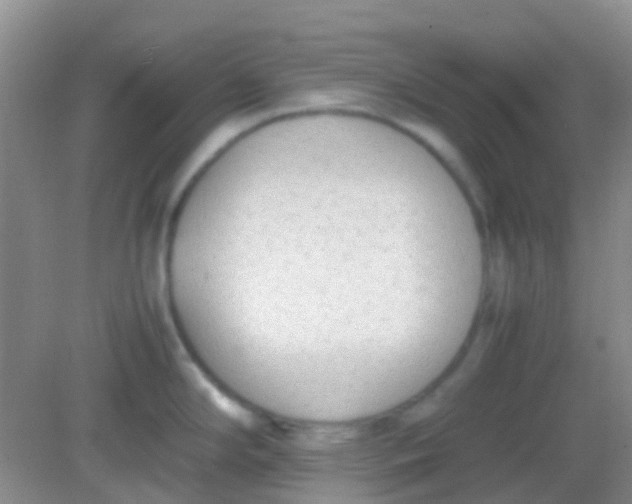 X0000081631294200702051249