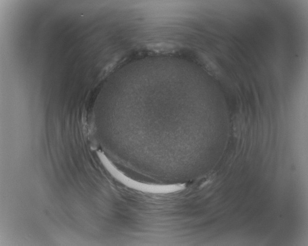 X0000081631298200702051248