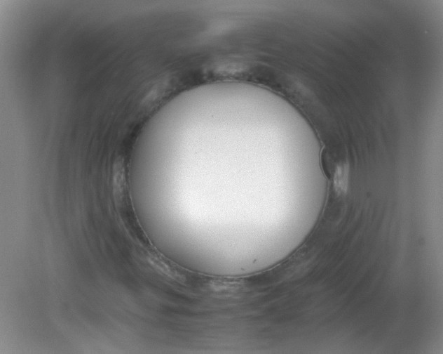 X0000081631299200702051248