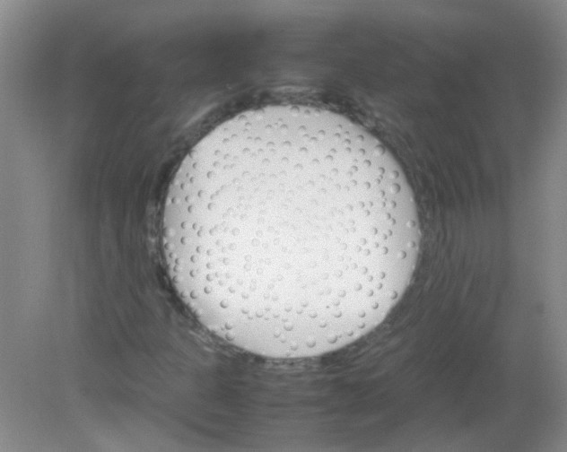 X0000081631301200702051248