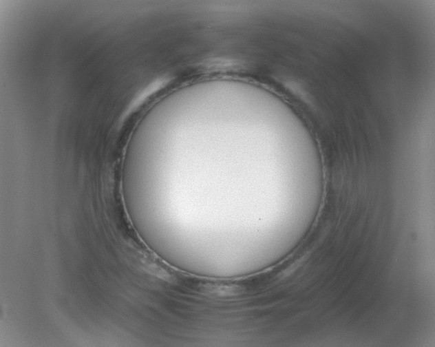 X0000081631309200702051248