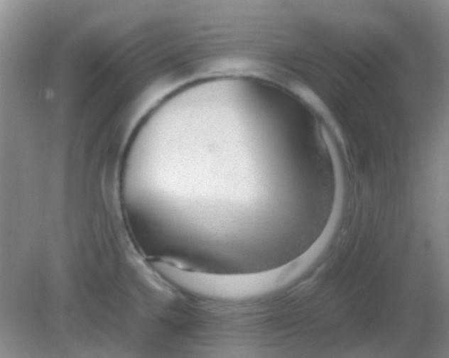 X0000081631336200702051249