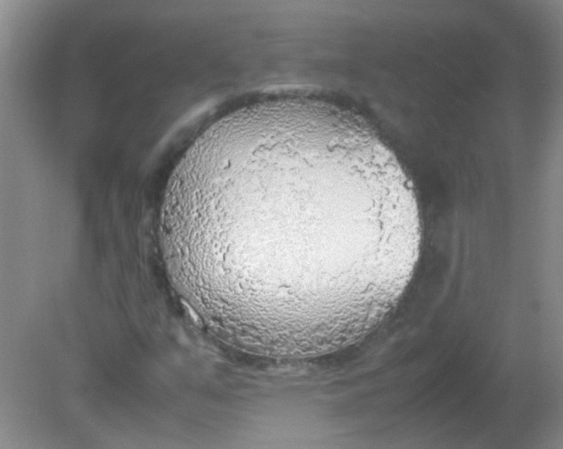 X0000081631351200702051248