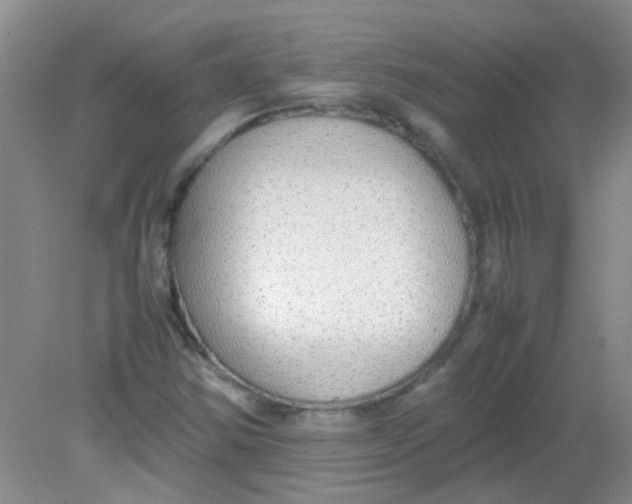 X0000081631354200702051248