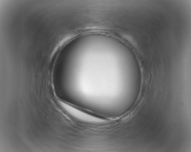 X0000081631357200702051248