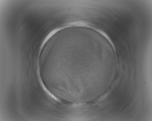 X0000081631389200702051247