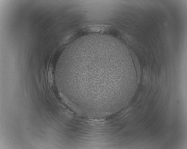 X0000081631394200702051246